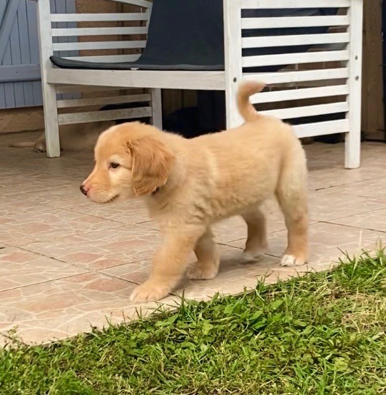 Le seul, l'unique... il reste notre petit mâle blond
